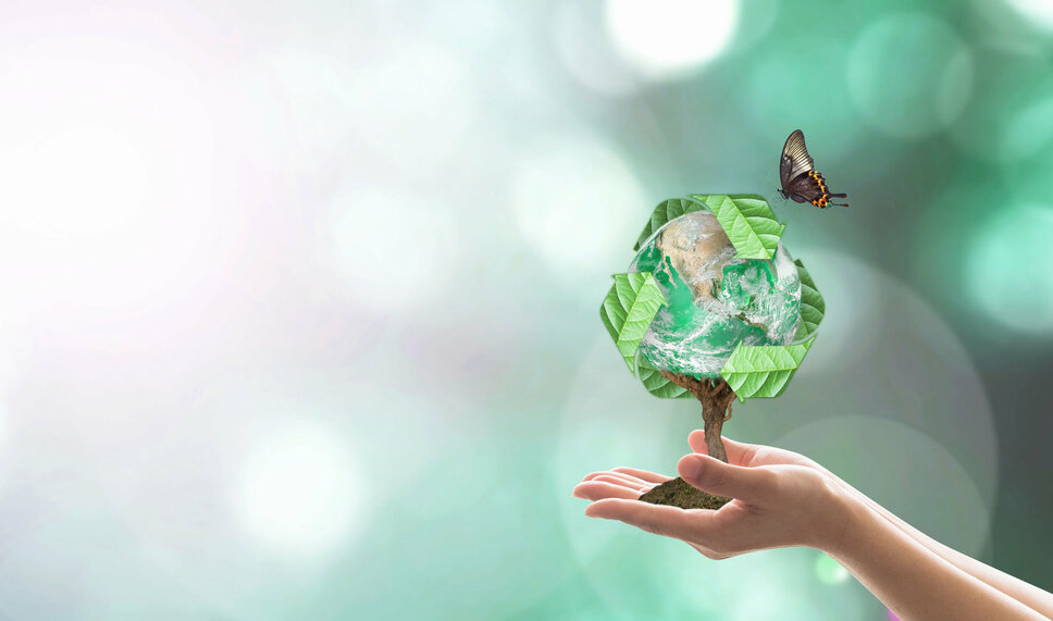 Hände halten einen Baum, dessen Äste den Erdglobus darstellen, vor einem leuchtenden Hintergrund. Über dem Baum ist ein Recycling-Symbol zu sehen, und ein Schmetterling fliegt auf ihn zu, was eine harmonische Verbindung von Natur und Nachhaltigkeit symbolisiert.
